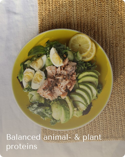 balanced-animal-plant-proteins